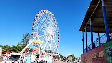 日本モンキーパークに投稿された画像（2024/10/13）