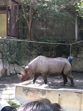 恩賜上野動物園に投稿された画像（2024/10/13）