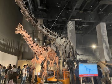 福井県立恐竜博物館に投稿された画像（2024/10/13）