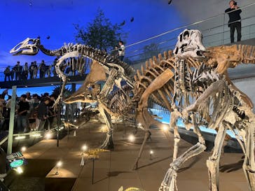 福井県立恐竜博物館に投稿された画像（2024/10/13）