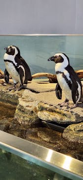 NIFREL（ニフレル）に投稿された画像（2024/10/13）