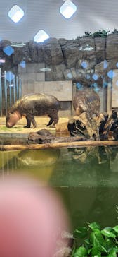 NIFREL（ニフレル）に投稿された画像（2024/10/13）