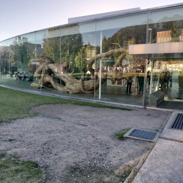 金沢21世紀美術館に投稿された画像（2024/10/13）