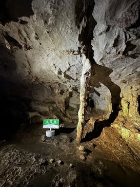 秋芳洞に投稿された画像（2024/10/13）