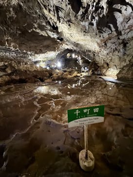 秋芳洞に投稿された画像（2024/10/13）