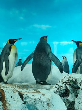 鴨川シーワールドに投稿された画像（2024/10/13）