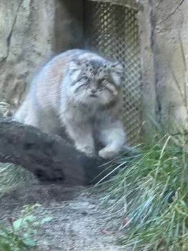 那須どうぶつ王国に投稿された画像（2024/10/13）