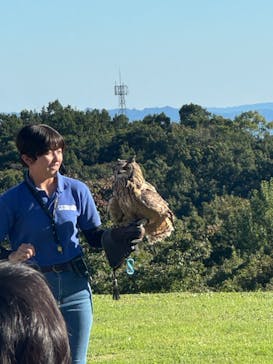 那須どうぶつ王国に投稿された画像（2024/10/13）