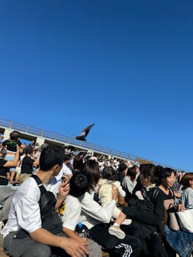 那須どうぶつ王国に投稿された画像（2024/10/13）