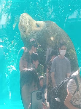 サンシャイン水族館に投稿された画像（2024/10/13）