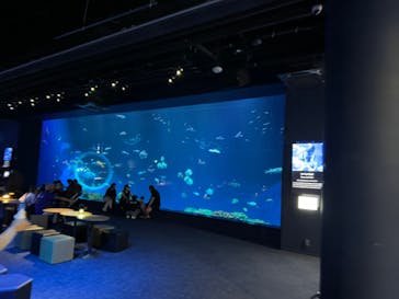DMMかりゆし水族館に投稿された画像（2024/10/13）