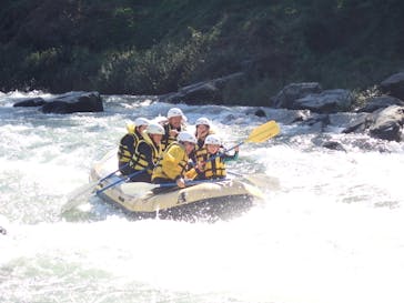 アムスハウス＆フレンズに投稿された画像（2024/10/13）