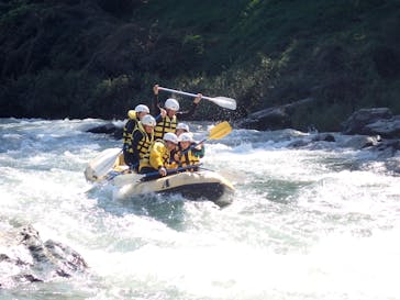 アムスハウス＆フレンズに投稿された画像（2024/10/13）