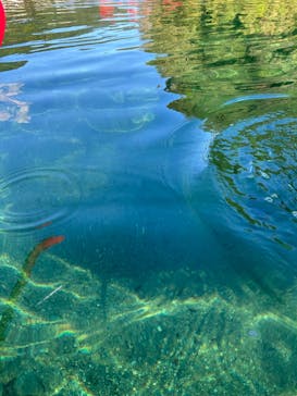 仁淀川カヌーに投稿された画像（2024/10/13）