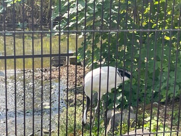 恩賜上野動物園に投稿された画像（2024/10/13）