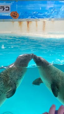 下田海中水族館に投稿された画像（2024/10/13）