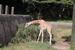 千葉市動物公園に投稿された画像（2024/10/13）