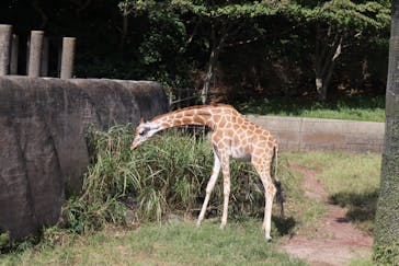 千葉市動物公園に投稿された画像（2024/10/13）