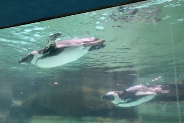 千葉市動物公園に投稿された画像（2024/10/13）