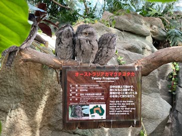 神戸どうぶつ王国に投稿された画像（2024/10/13）