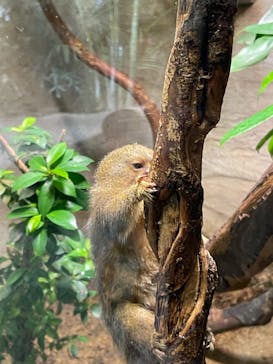 神戸どうぶつ王国に投稿された画像（2024/10/13）