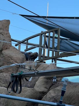 サンシャイン水族館に投稿された画像（2024/10/13）