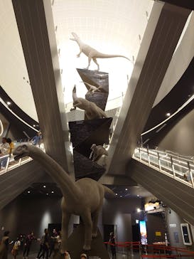 福井県立恐竜博物館に投稿された画像（2024/10/13）