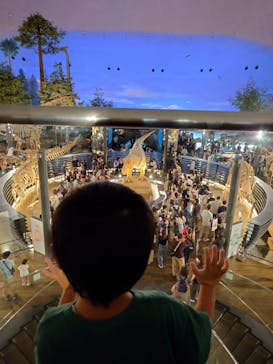 福井県立恐竜博物館に投稿された画像（2024/10/13）