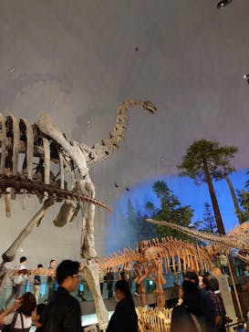 福井県立恐竜博物館に投稿された画像（2024/10/13）