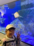 竹島水族館に投稿された画像（2024/10/13）