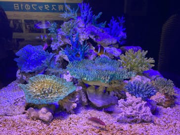 竹島水族館に投稿された画像（2024/10/13）