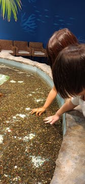 アクアテラス錦ケ丘に投稿された画像（2024/10/13）