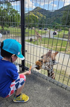 姫路セントラルパークに投稿された画像（2024/10/13）