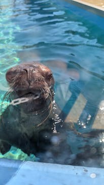 竹島水族館に投稿された画像（2024/10/13）