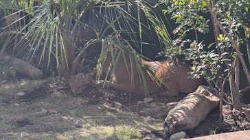 竹島水族館に投稿された画像（2024/10/13）