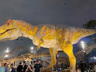 福井県立恐竜博物館に投稿された画像（2024/10/13）