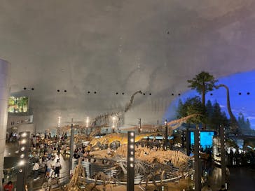 福井県立恐竜博物館に投稿された画像（2024/10/13）