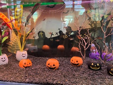 名古屋港水族館に投稿された画像（2024/10/13）