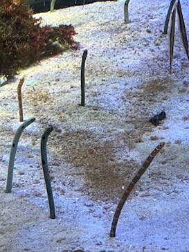 名古屋港水族館に投稿された画像（2024/10/13）