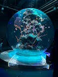 AQUARIUM × ART　atoaに投稿された画像（2024/10/13）