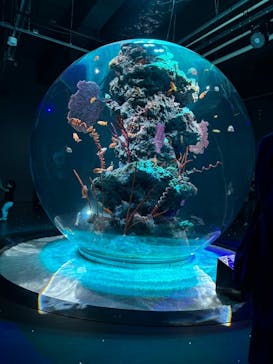 AQUARIUM × ART　atoaに投稿された画像（2024/10/13）