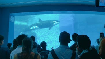 名古屋港水族館に投稿された画像（2024/10/13）