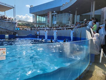 大分マリーンパレス水族館 「うみたまご」に投稿された画像（2024/10/13）