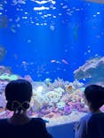 仙台うみの杜水族館に投稿された画像（2024/10/13）