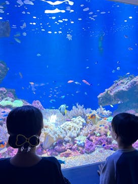 仙台うみの杜水族館に投稿された画像（2024/10/13）