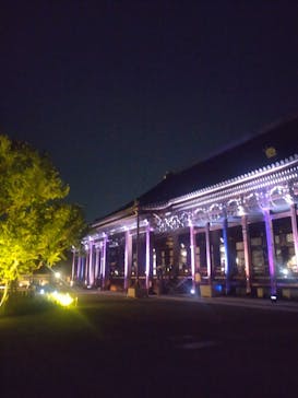 NAKED光の西本願寺2024 秋の特別公開に投稿された画像（2024/10/13）