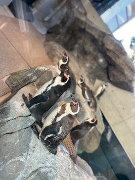 AQUARIUM × ART　atoaに投稿された画像（2024/10/13）