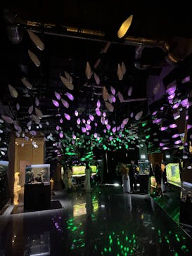 AQUARIUM × ART　atoaに投稿された画像（2024/10/13）