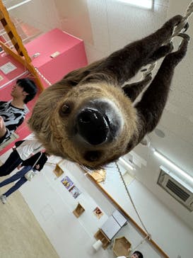 アニタッチ MARK IS 静岡に投稿された画像（2024/10/13）