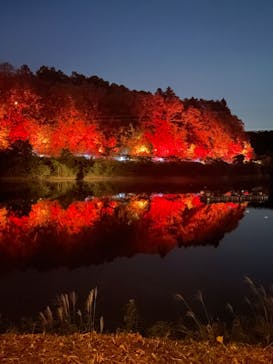 ムーミンバレーパークに投稿された画像（2024/10/13）